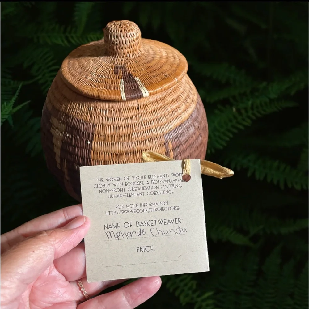 World Wild Life Yikote Elephants Handmade Grass Basket With Lid Botswana VGUC